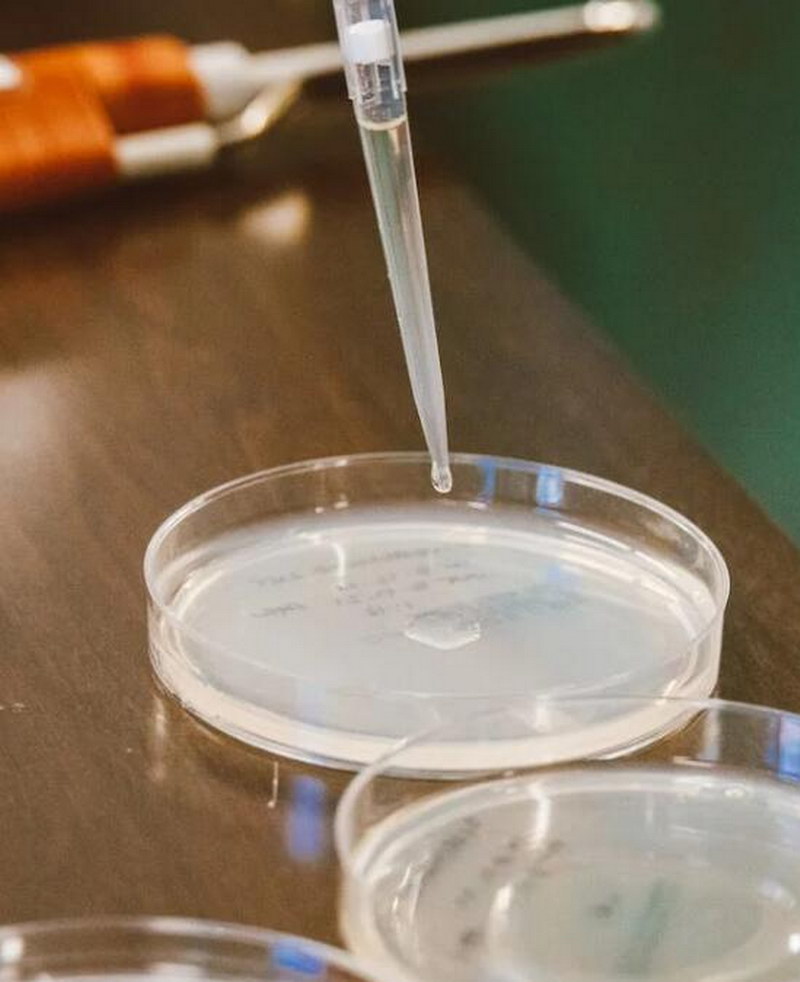 泊沙康唑杂质176,泊沙康唑杂质176标准品,泊沙康唑杂质176对照品