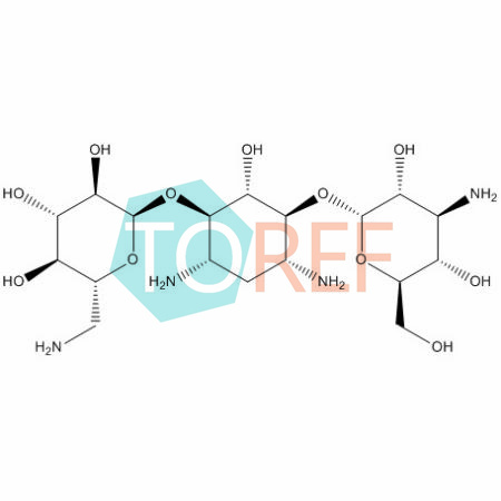 阿米卡星EP杂质D
