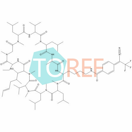 环孢菌素AM 2