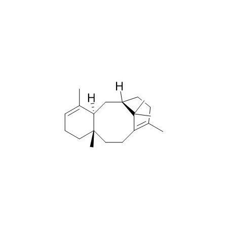 紫杉醇杂质58