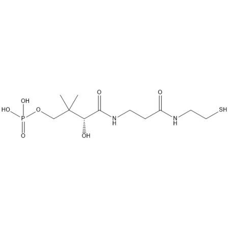 磷泛硫乙胺