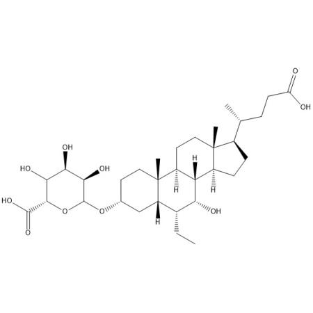 OCA 3葡糖醛酸